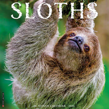 Calendar Sloths 2026 Wall Calendar Book