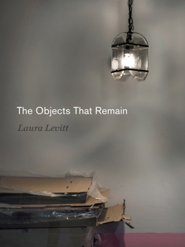 The Objects That Remain - Book  of the Dimyonot: Jews and the Cultural Imagination