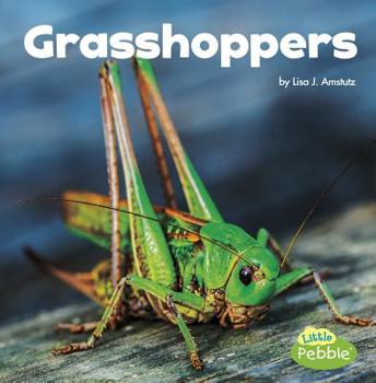 Grasshoppers - Book  of the Little Critters