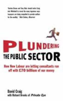 Paperback Plundering the Public Sector: How New Labour Are Letting Consultants Run Off with 70 Billion of Our Money Book