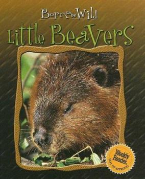 Library Binding Little Beavers Book