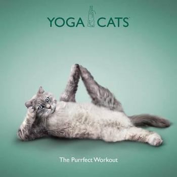 Hardcover Yoga Cats Book
