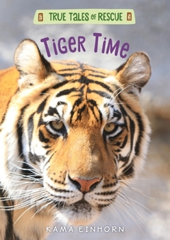 Hardcover Tiger Time Book