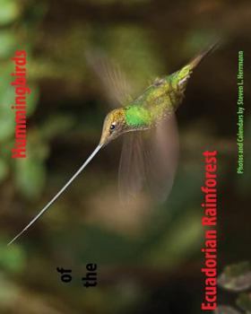 Paperback Hummingbirds of the Ecuadorian Rainforest: Calendar 2017 Book