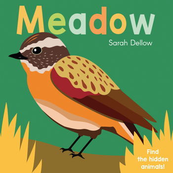 Board book Now You See It! Meadow Book