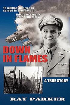 Paperback Down in Flames Book