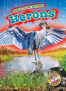 Herons - Book  of the Scholastic: Blastoff!  Animals of the Wetlands