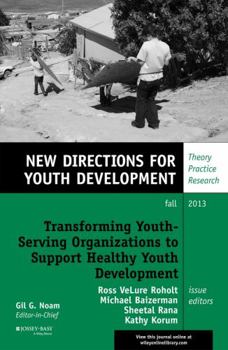 Paperback Transforming Youth-Serving Organizations to Support Healthy Youth Development Book