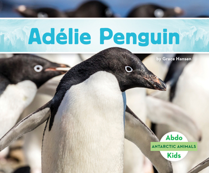 Library Binding Adelie Penguin Book
