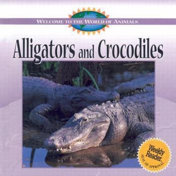 Welcome to the World of Alligators and Crocodiles