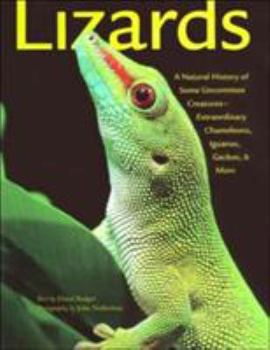 Paperback Lizards: A Natural History of Some Uncommon Creatures--Extraordinary Chameleons, Iguanas, Geckos, and More Book