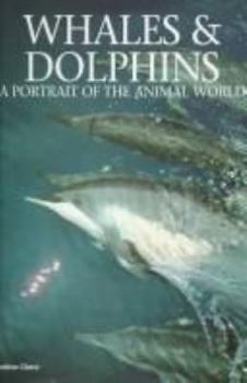 Hardcover Whales & Dolphins Book