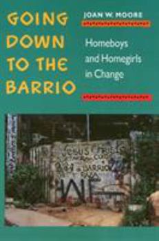 Paperback Going Down to the Barrio: Homeboys and Homegirls in Change Book