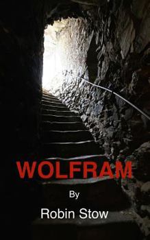 Paperback Wolfram Book