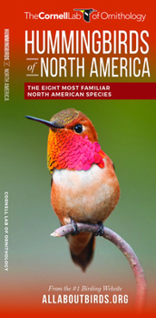 Pamphlet Hummingbirds of North America: The Eight Most Familiar North American Species Book