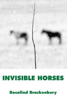 Paperback Invisible Horses Book