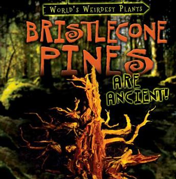 Bristlecone Pines are Ancient! - Book  of the World's Weirdest Plants
