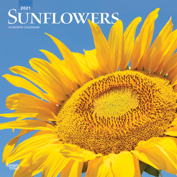 Calendar Sunflowers 2021 Square Book