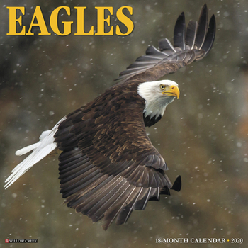 Calendar Eagles 2020 Wall Calendar Book