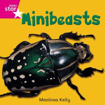 Paperback Rigby Star Independent Pink Reader 2 Minibeasts Book