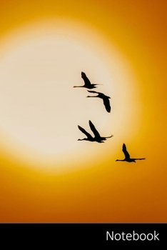 Notebook: Swan Themed Notebook / Journal / Diary / Composition book / Daily Planner / Sketchbook - 6 x 9 inches (15,24 x 22,86 cm), 150 pages, glossy finish.