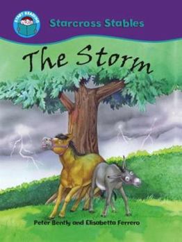 Paperback The Storm Book