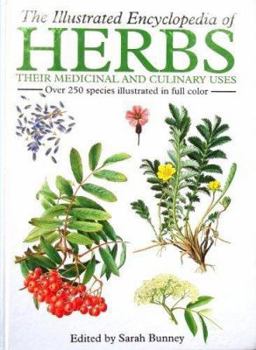Hardcover Illustrated Encyclopedia of Herbs Book