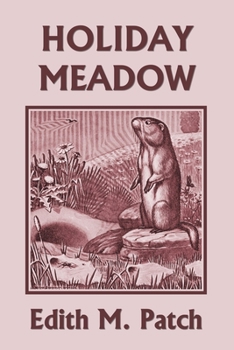 Paperback Holiday Meadow (Yesterday's Classics) Book