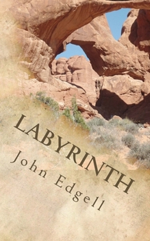 Paperback Labyrinth Book