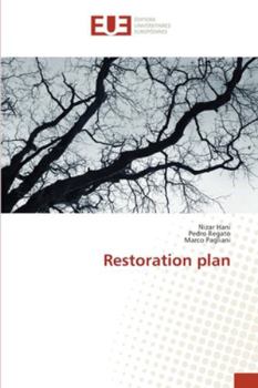 Paperback Restoration plan Book