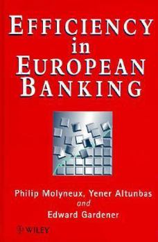 Hardcover Efficiency in European Banking Book