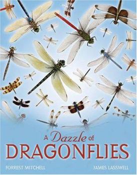 Hardcover A Dazzle of Dragonflies Book