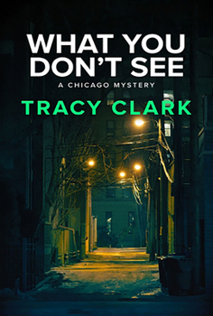 What You Don't See - Book #3 of the Cass Raines