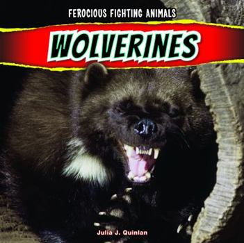 Library Binding Wolverines Book