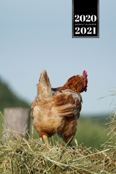 Chicken Hen Chick Farming Farmer Week Planner Weekly Organizer Calendar 2020 / 2021 - On Hay Bales: Cute Wildlife Animal Pet Bullet Journal Notebook Diary in 6” x 9” Inch Pocket Size