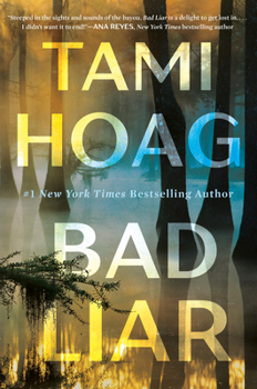 Hardcover Bad Liar Book