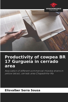 Paperback Productivity of cowpea BR 17 Gurgueia in cerrado area Book