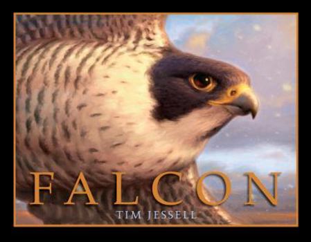 Library Binding Falcon Book