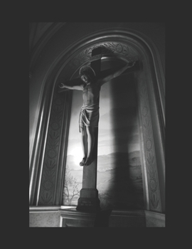 Paperback The Notebook Book