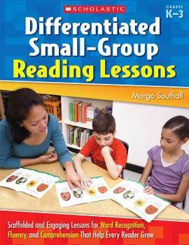 Paperback Differentiated Small-Group Reading Lessons: K-3 Book