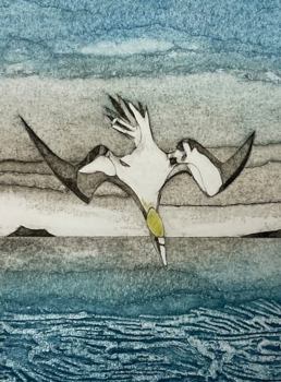 Paperback Wild Birds Pocket Notebook: Gannet Book