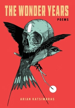 Hardcover The Wonder Years Book