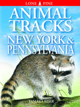 Paperback Animal Tracks of New York & Pennsylvania Book