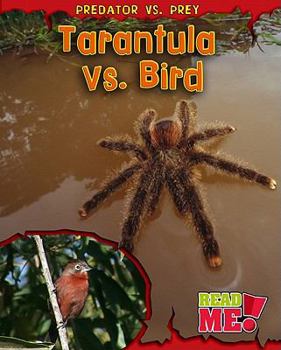Hardcover Tarantula vs. Bird Book