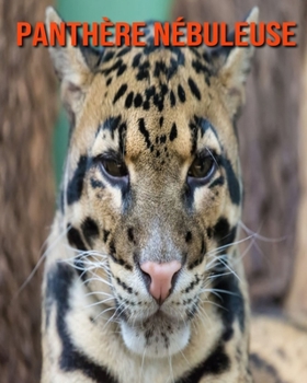 Panthère Nébuleuse: Informations Etonnantes & Images