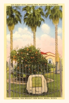 Paperback The Vintage Journal Parent Orange Tree, Riverside, California Book
