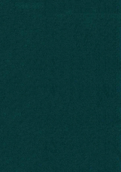 Paperback Giovanna Silva: Tehran: 444 Days Iran Hostage Crisis, Kakol, Wake Up! Book