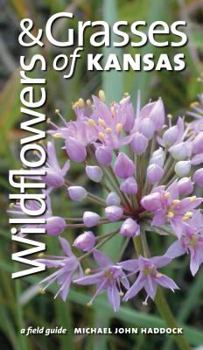 Paperback Wildflowers and Grasses of Kansas: A Field Guide Book