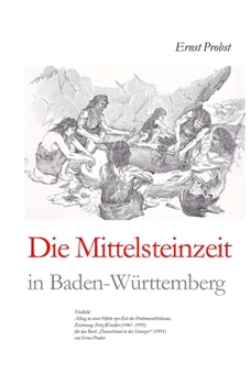 Paperback Die Mittelsteinzeit in Baden-Württemberg [German] Book