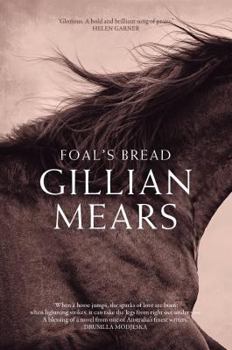 Hardcover Foal'S Bread Book